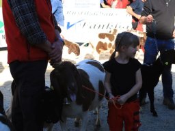 2019_ausstellung polling_714